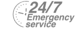 24/7 Emergency Service Pest Control in Bloomsbury, Gray's Inn, WC1. Call Now! 020 8166 9746